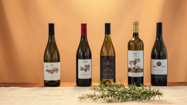 Top 5 vins libanais à découvrir pour une expérience unique
